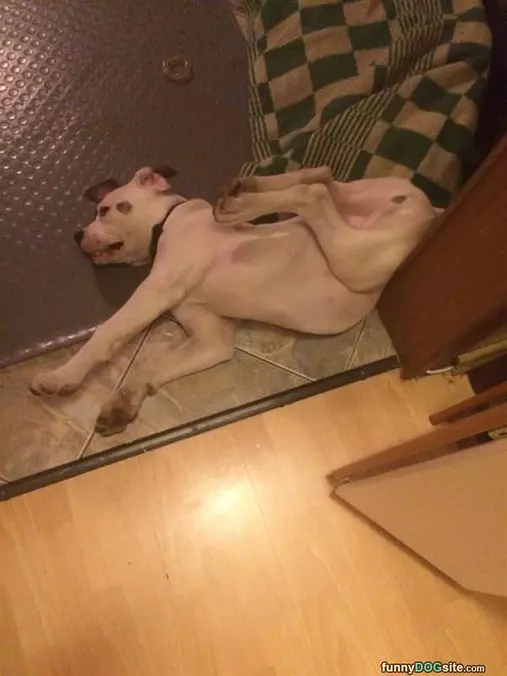 Sleep When I Want