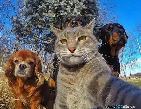 Selfie Of The Whole Crew