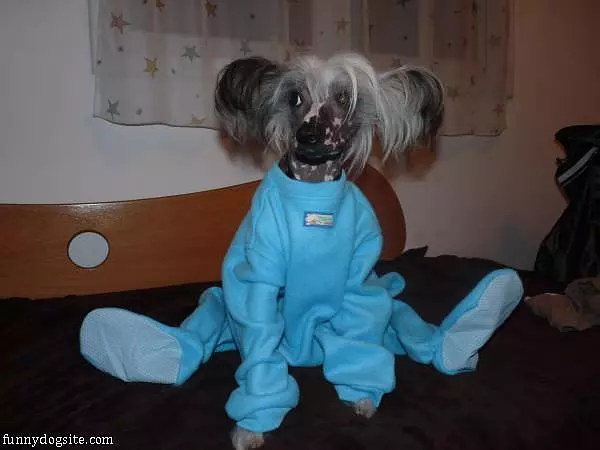 Im Ready For Bed
