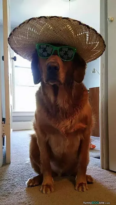 Happy St Pattys