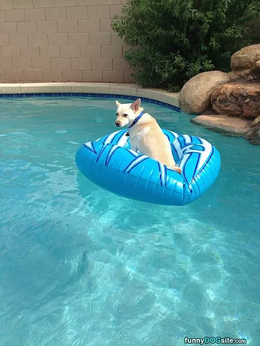 Floating In The Pool