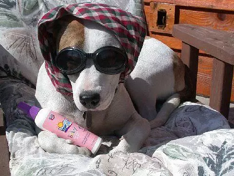 Bathing-beauty