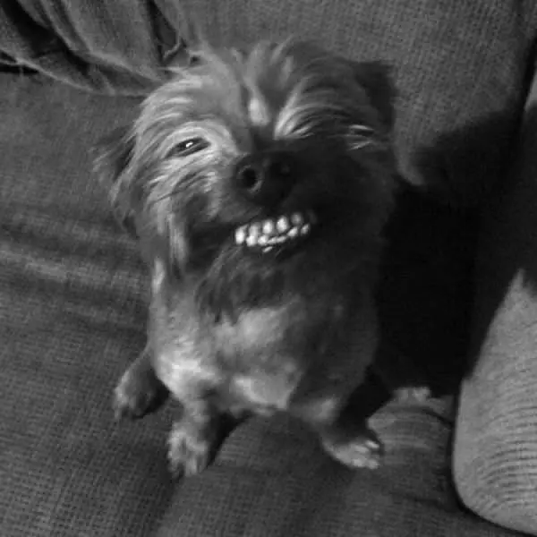 Big Smile