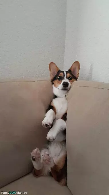 Chillin
