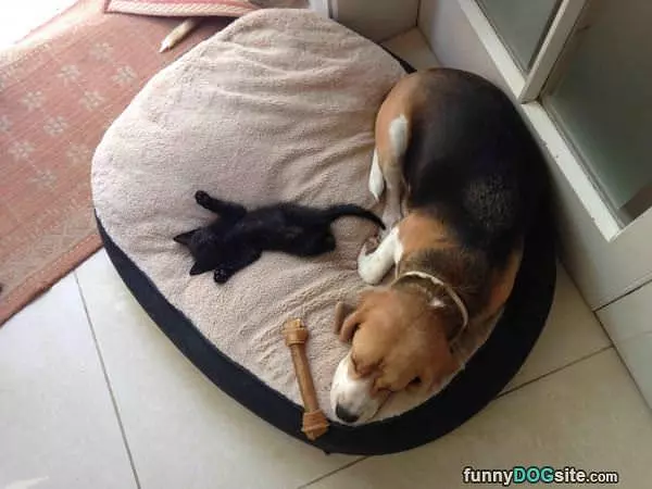 Sleeping With My Buddy