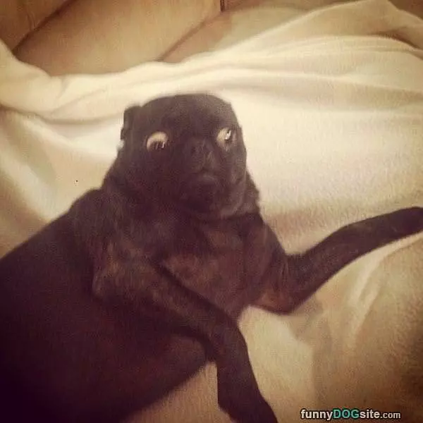 Whoaaaa