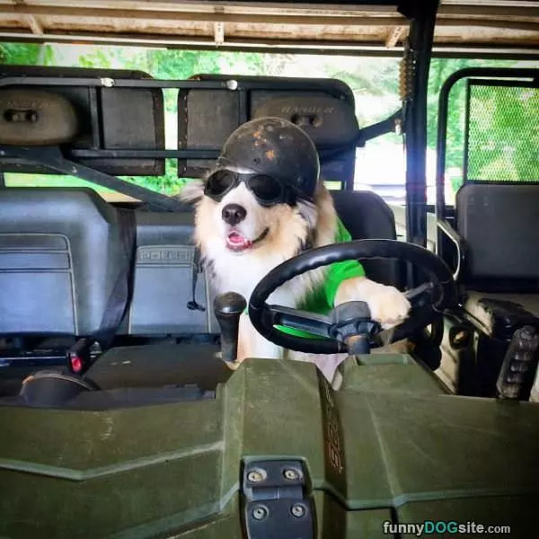 Gunner