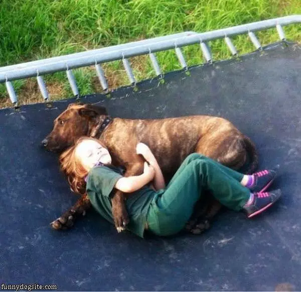 We Are Buddies