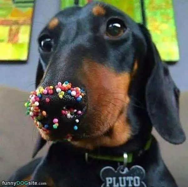 Sprinkles