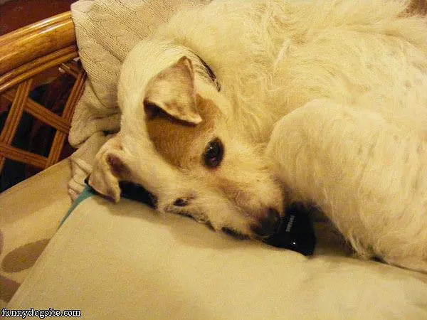 No Remote For You
