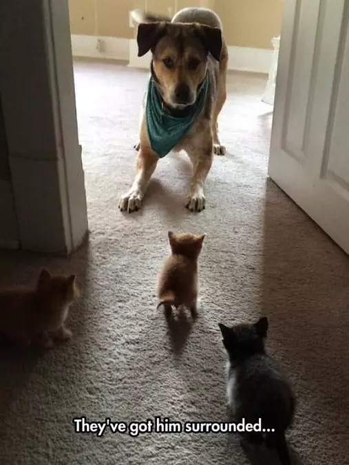 Surrounded