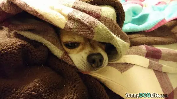 Not Getting Out Of Bed