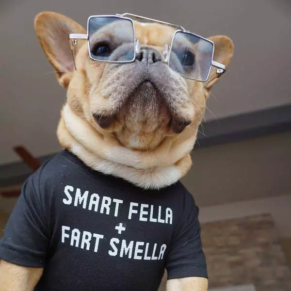 Smart Fella