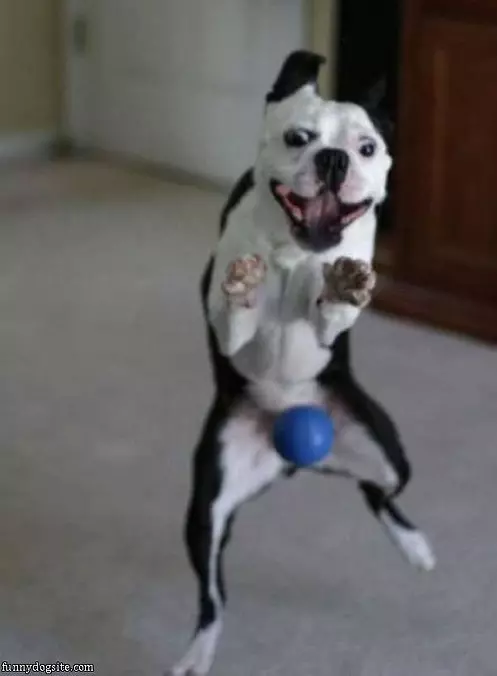 I Love This Ball