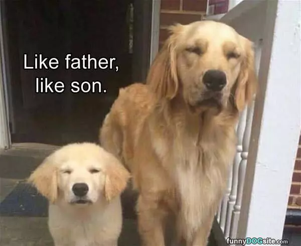 Like Father Like Son