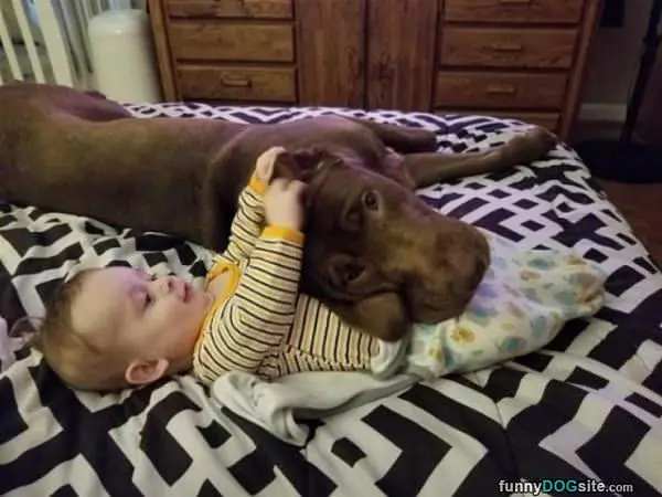 I Protect