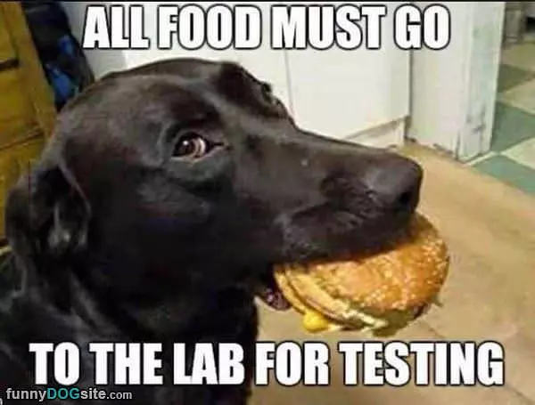 Testing