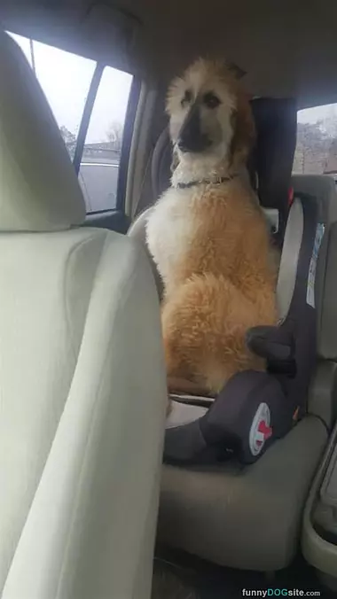 Ready For A Road Trip