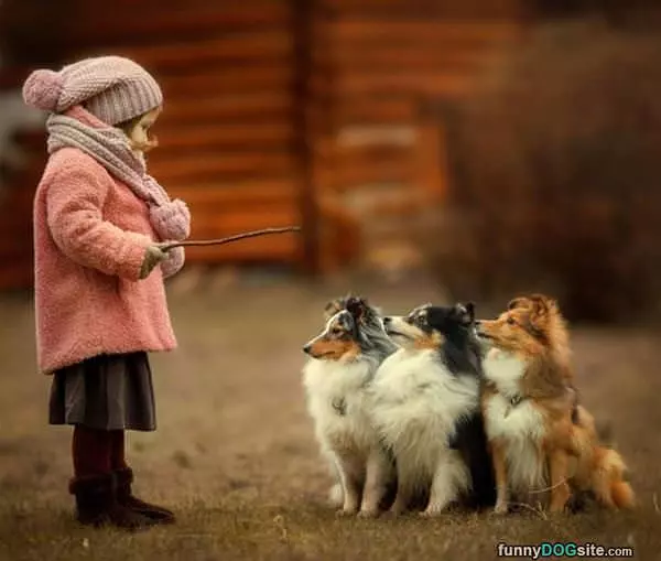 Can You Throw It Now