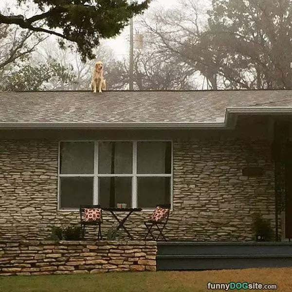 Protecting This House