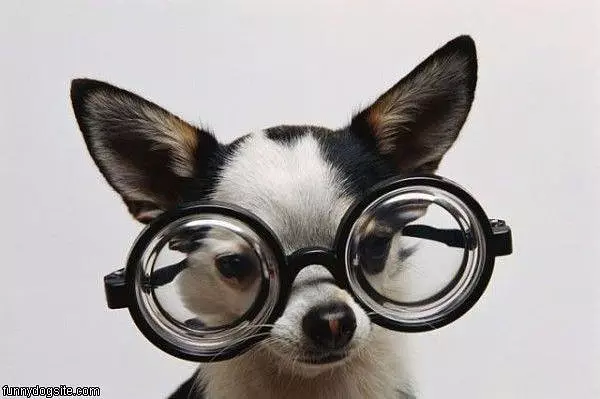 My New Glasses