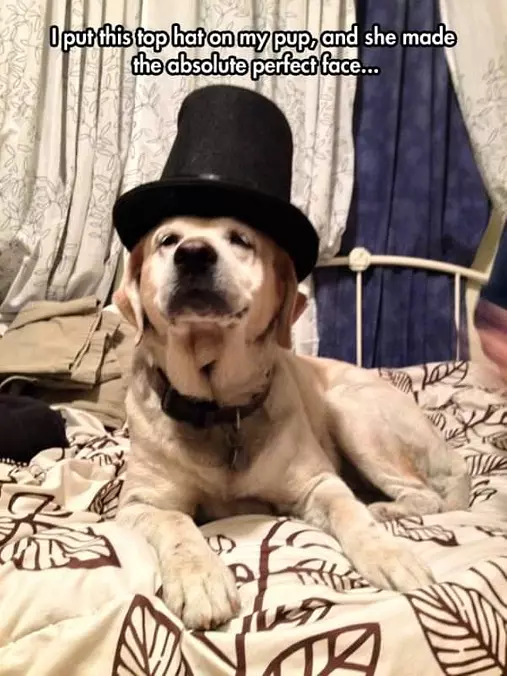 Nice Top Hat