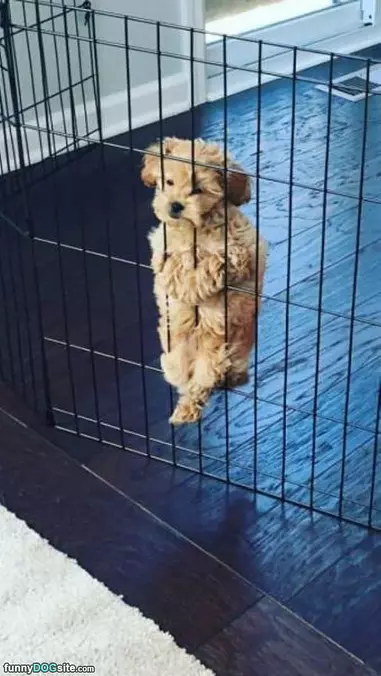 I Like To Climb