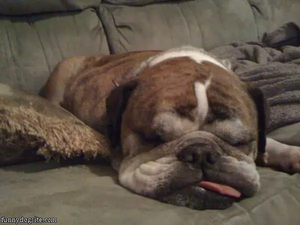 So So Sleepy
