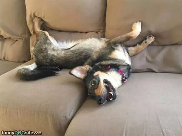 Relaxing On The Couch