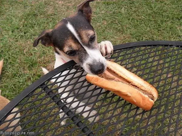 This Is Mine Now Ok