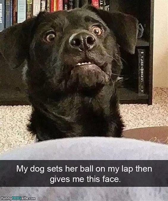 Then Gives Me This Face