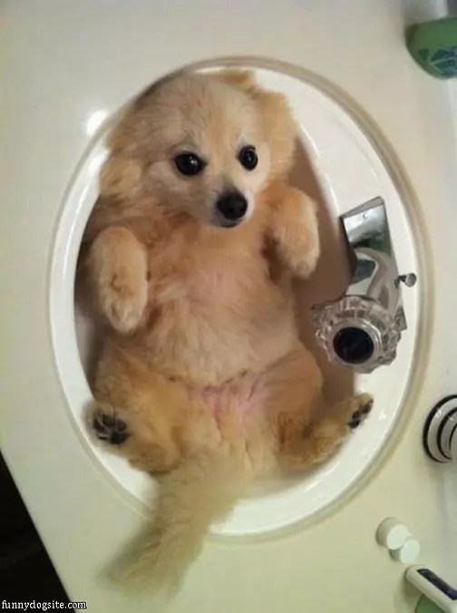 Ok Bath Time