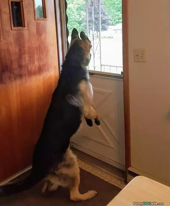 Checking Things Out
