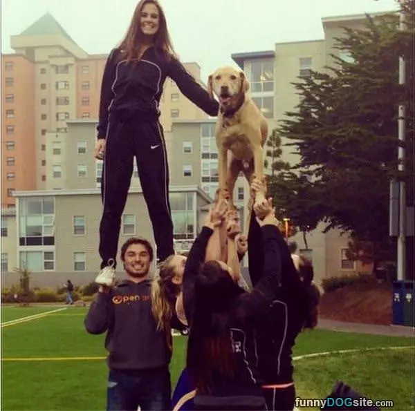 Pyramid