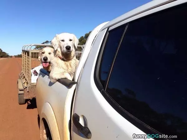 Fun Truck Ride
