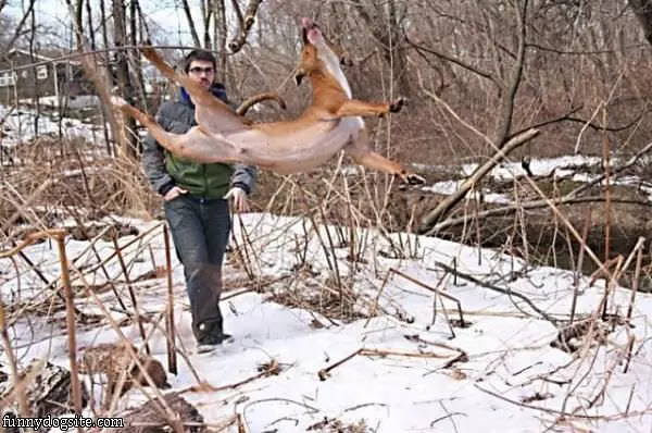 Flying Jumper