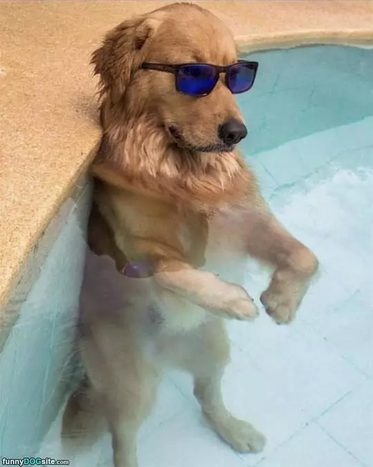 Chilling In The Pool
