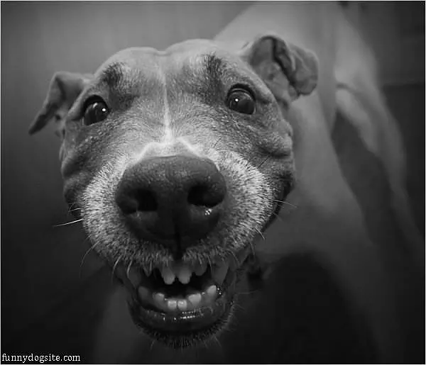 Mah Happy Face