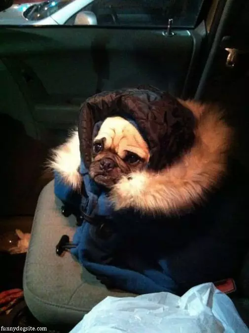 It Is So Cold Out