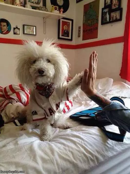 Nice High 5
