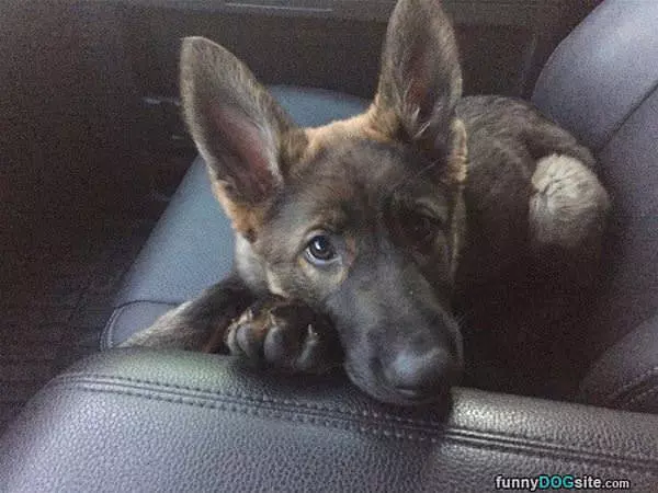 Can We Go To The Park Now