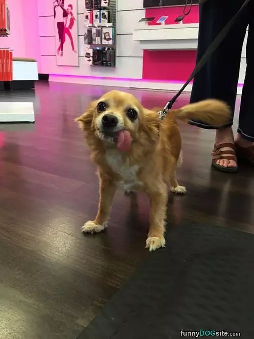 My Tongue Out