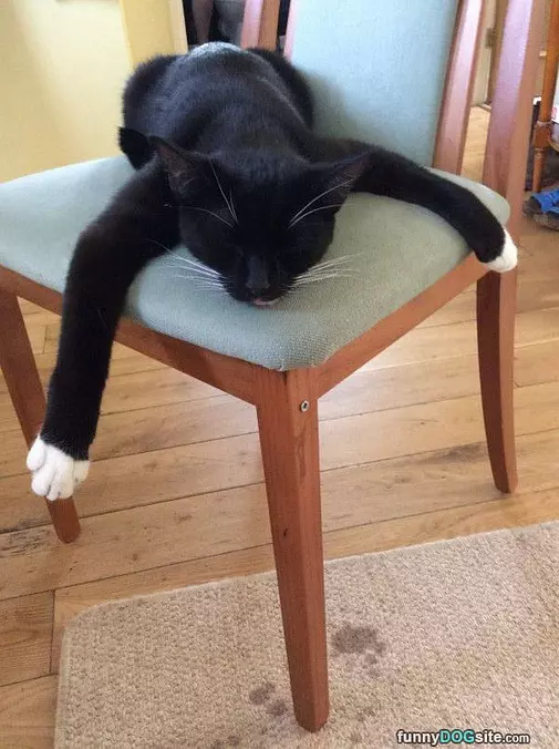 This Chair Is Awesome