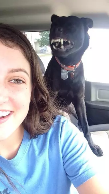 Woof Woof Woo