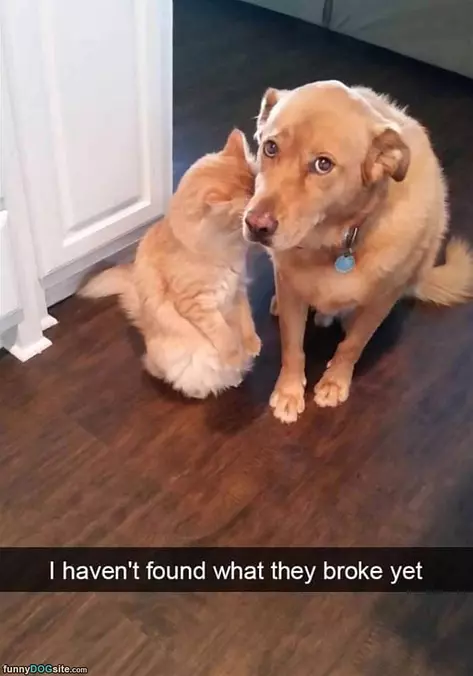 Still Looking For It