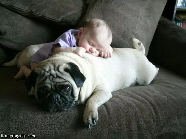 Nice Pillow