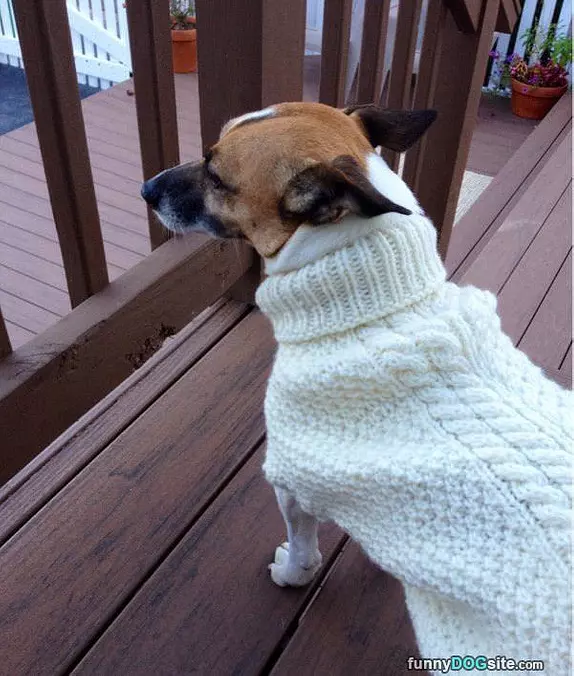 Nice Sweater