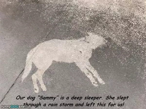 A Sleeper