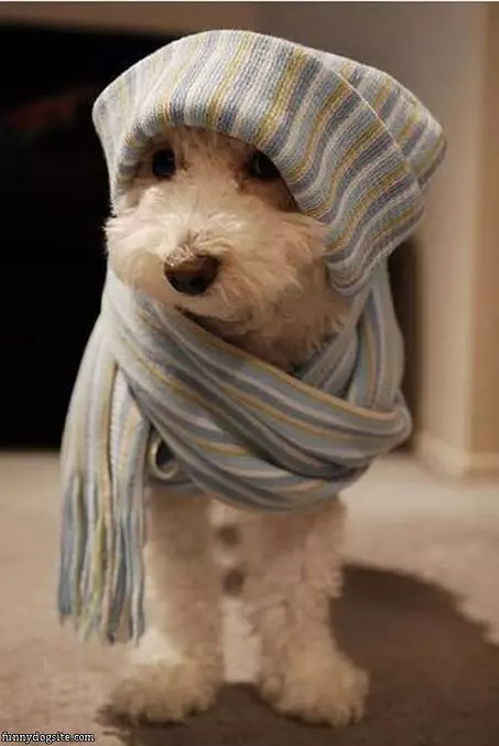 Im All Warm