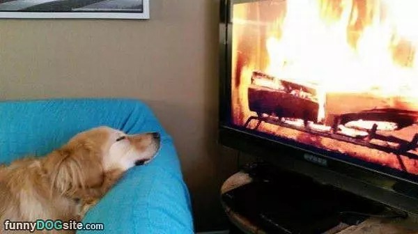 This Fire Is Perfect